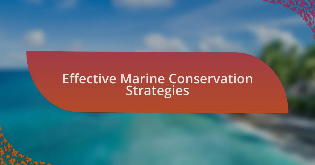 Effective Marine Conservation Strategies