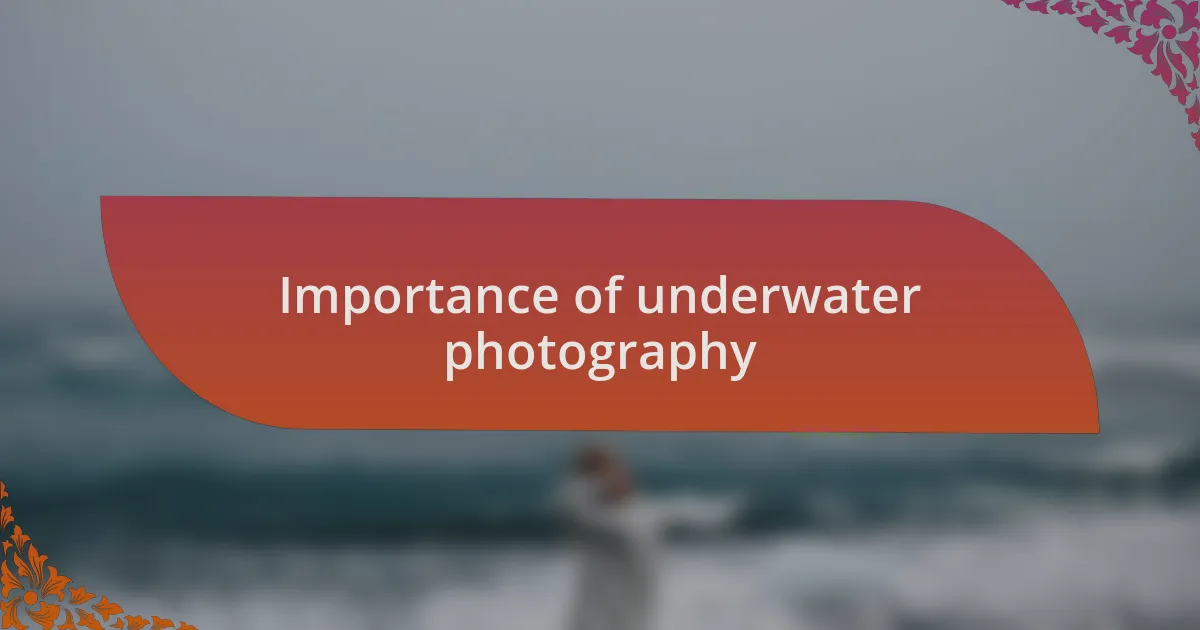 Importance of underwater photography