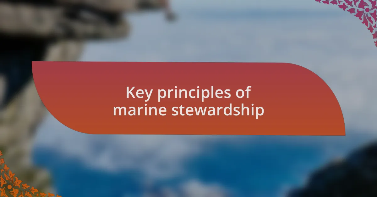Key principles of marine stewardship