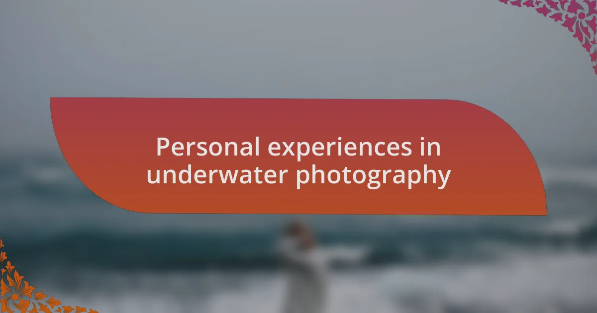 Personal experiences in underwater photography