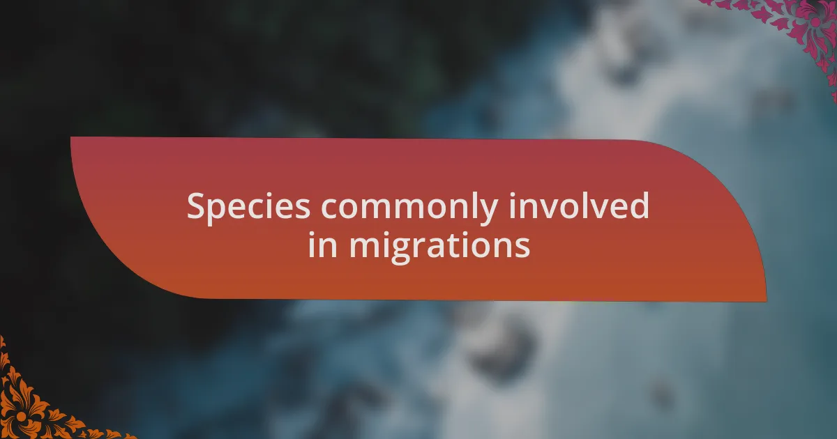 Species commonly involved in migrations
